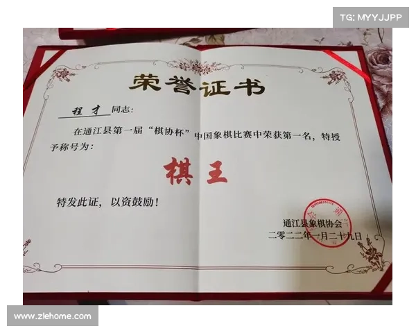 2017年中国象棋个人赛