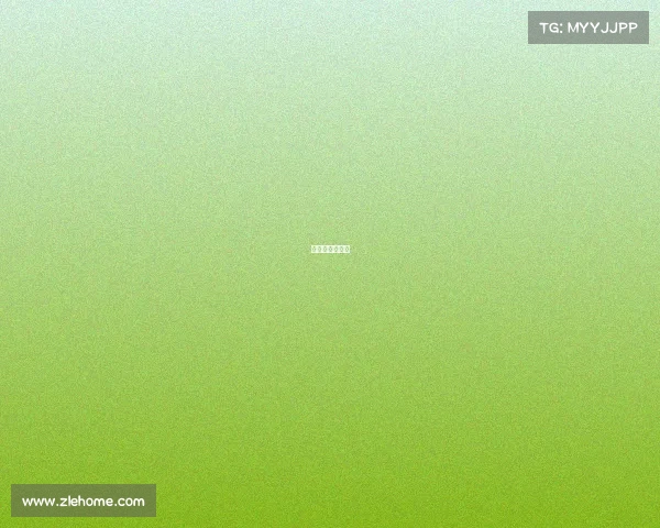 空手道比赛现场